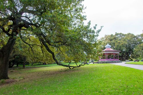 Albert Park