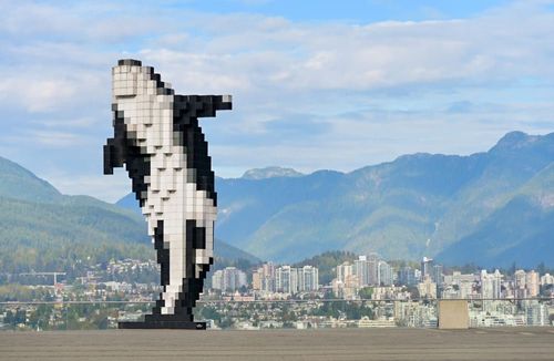 The Digital Orca