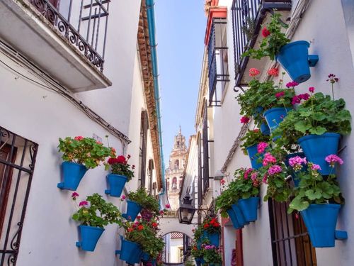 Calleja de las Flores