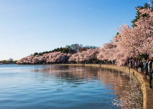Tidal Basin