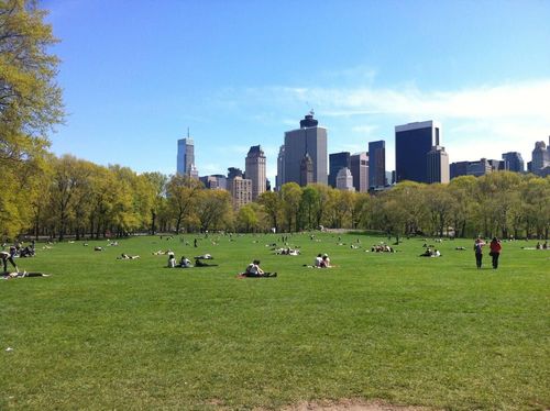 Sheep Meadow