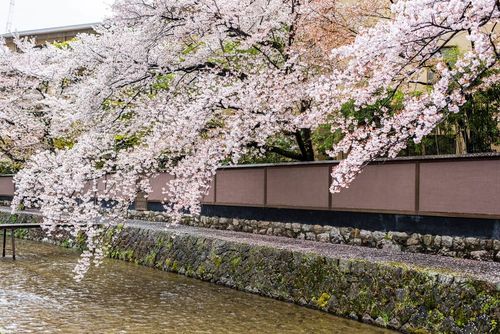 Canal de Shirakawa