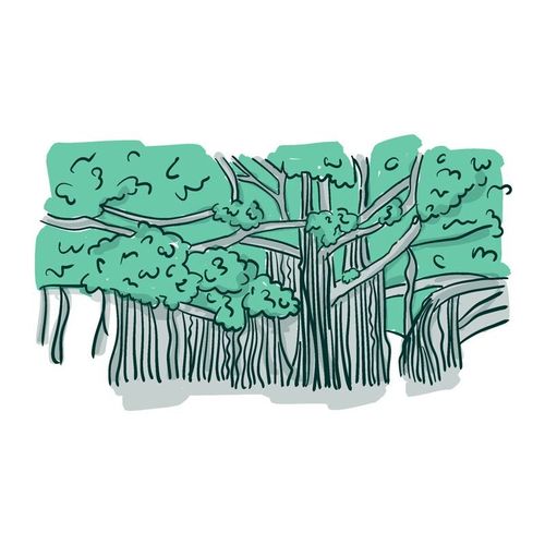 Le Banyan