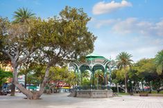 Parc de San Telmo