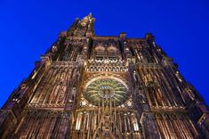 Notre-Dame Cathedral