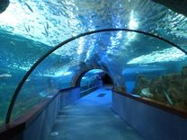 Aquarium