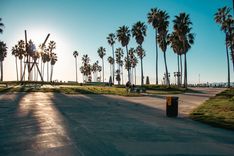 Ocean Avenue