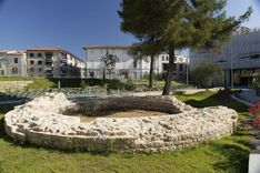 Roman Museum