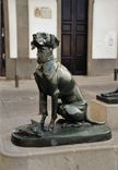 Perros de Santa Ana