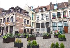 Onions square