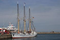 La Duquesa Ana