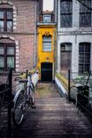 The little yellow house