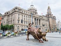 Bund Bull