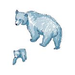 The Bear Pit