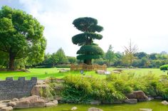 Gucheng Park