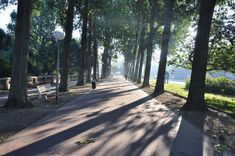 Avenue Foch