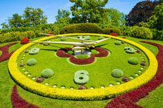 Flower Clock