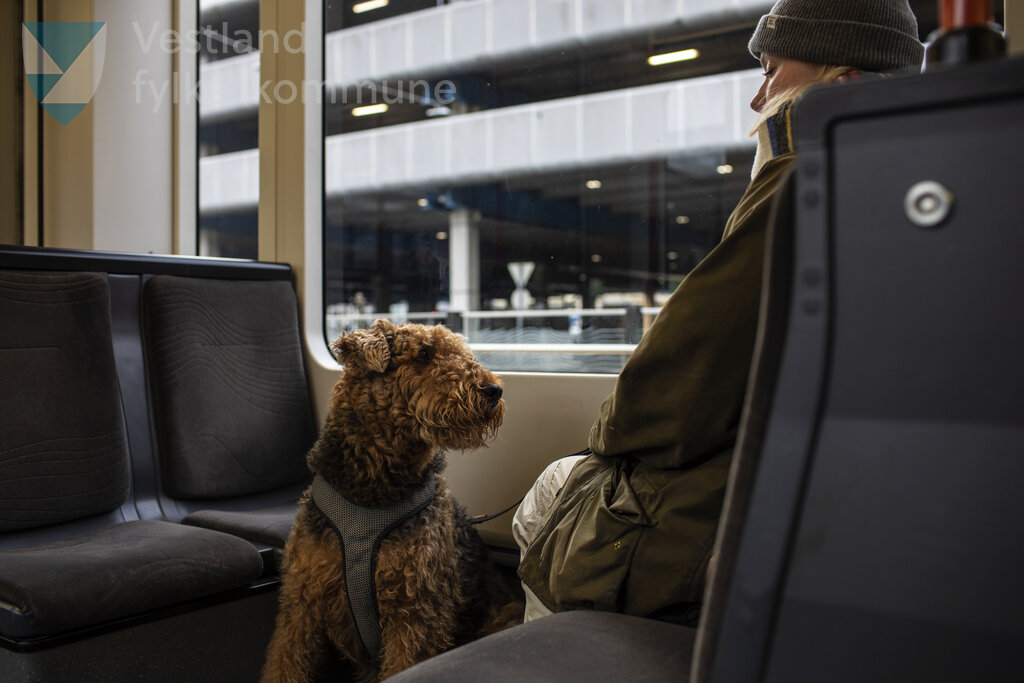 Linje 2 - Bergen Busstasjon Haldeplass
