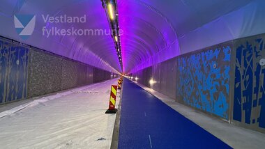 Fyllingsdalstunnelen