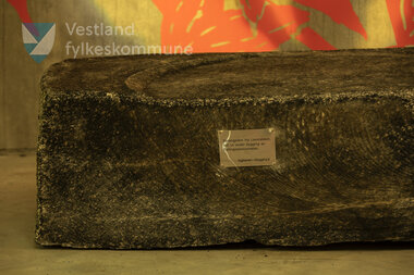 Steinar i Fyllingsdalstunnelen 