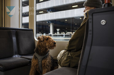Linje 2 - Bergen Busstasjon Haldeplass