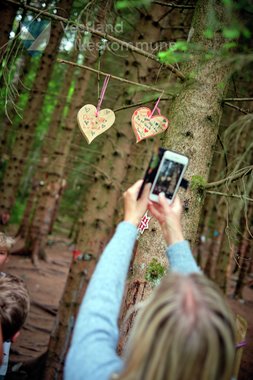 Trivselsskogen i Sandane, Gloppen