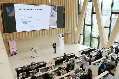 Konferanse om papirlause migrantar