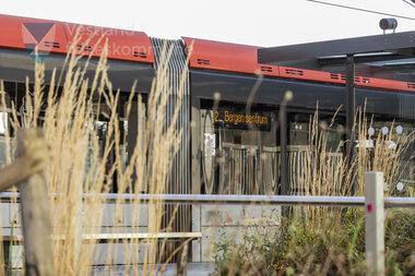 Linje 2- Fyllingsdalen Terminal