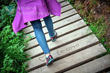 Trivselsskogen i Sandane, Gloppen