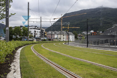 Sving mellom Kronstad og Minde med gras i spora