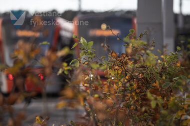 Linje 2- Fyllingsdalen Terminal