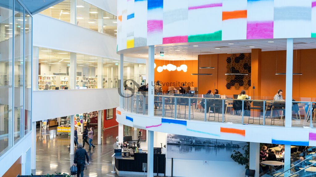 Studentliv og gruppearbeid campus Drammen