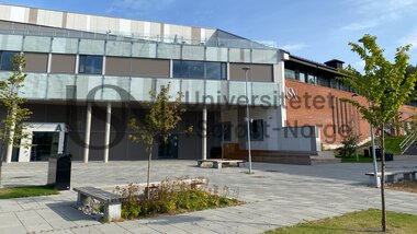 Campus Hønefoss