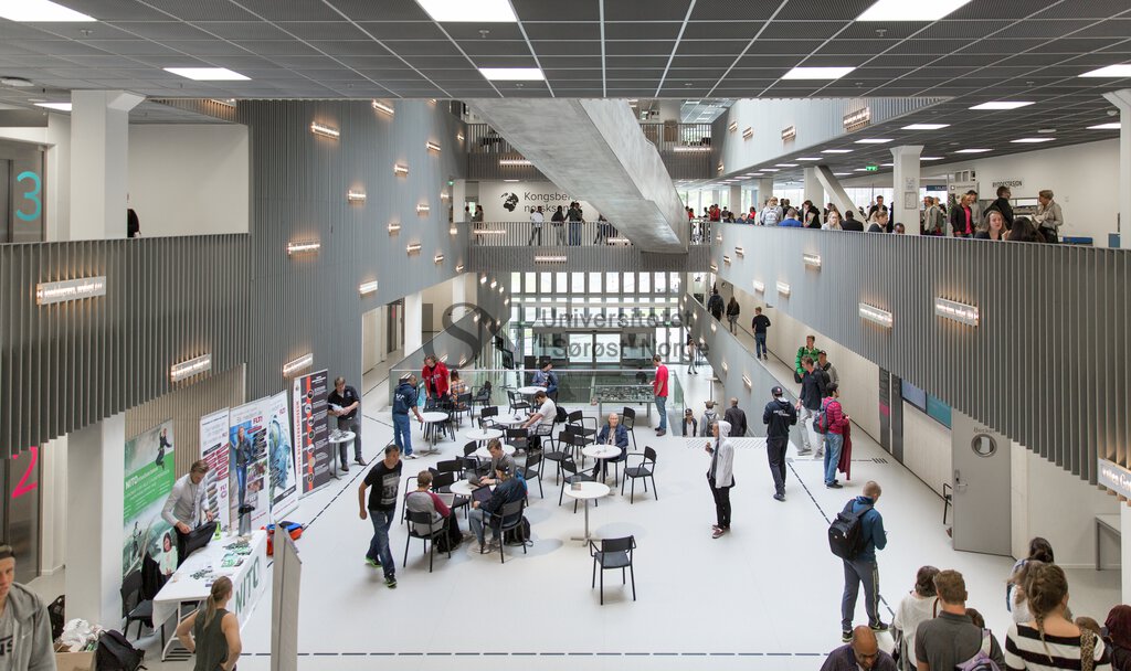 oversiktsbilde krona