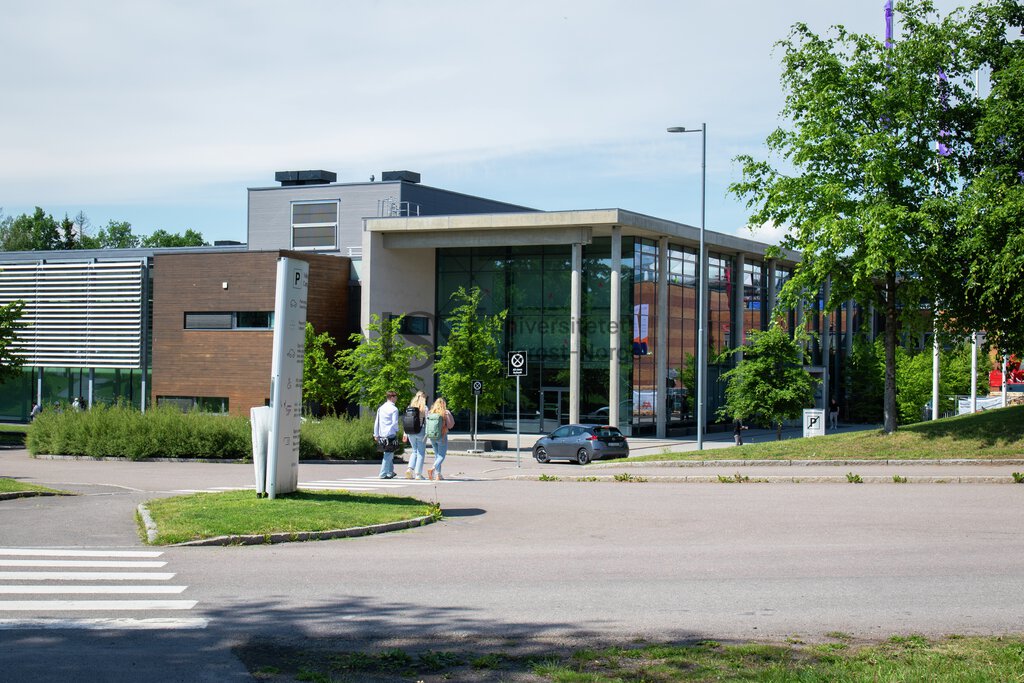 Campus Vestfold - campus