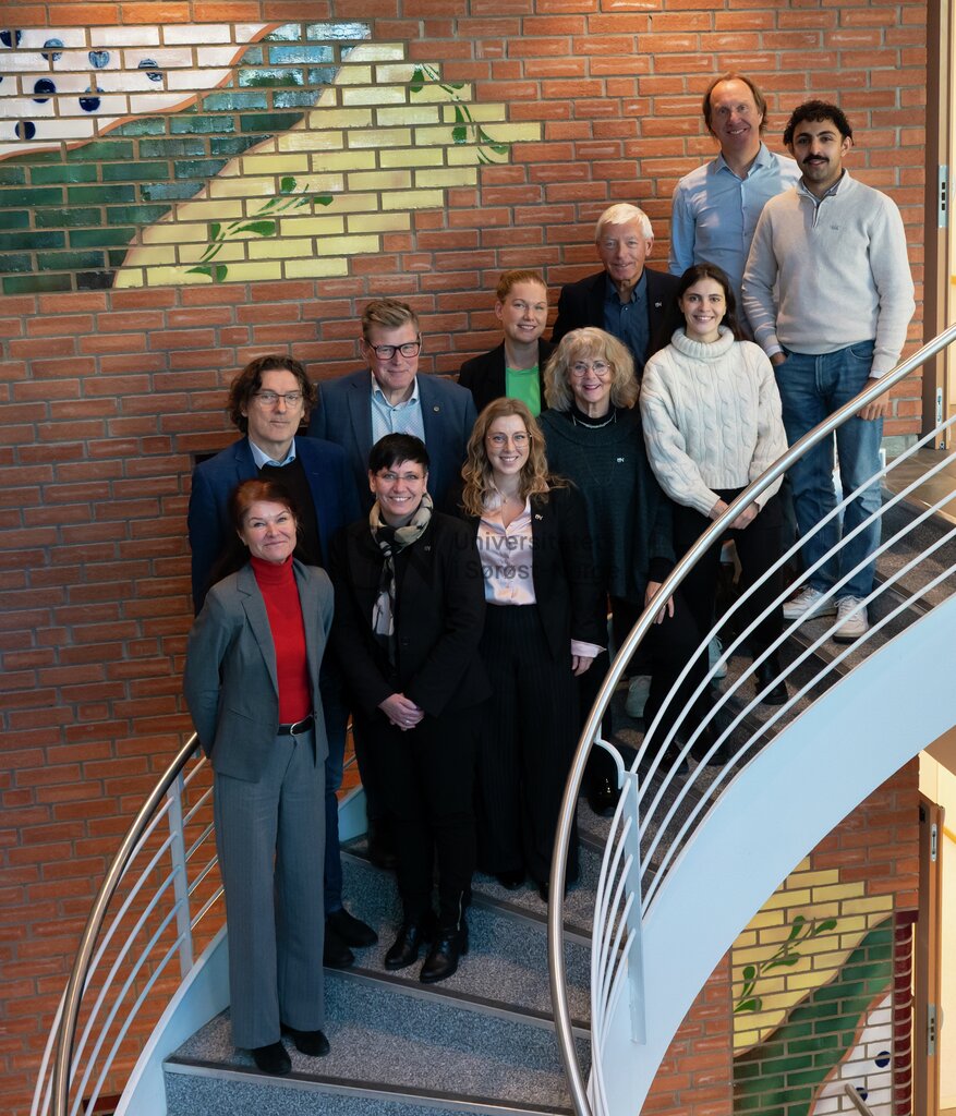 Styret ved Universitetet i Søraust-Noreg uten rektor