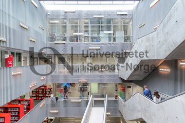 oversiktsbilde krona