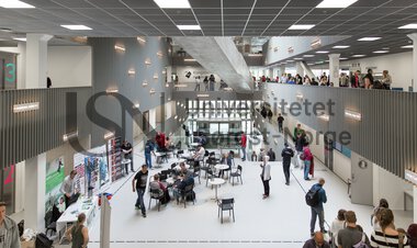 oversiktsbilde krona