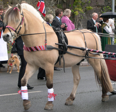17. mai, Fjording i tog