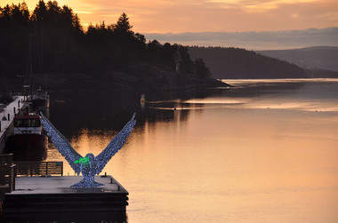 Fredsduen i soloppgang