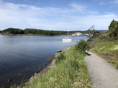 Høvikodden