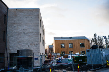 Fasadebilder Carpe Diem