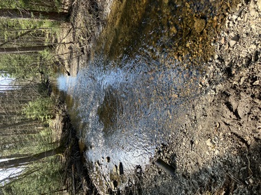 Østernbekken v utløp Østernvann