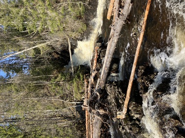 Lomma ved Guribysaga