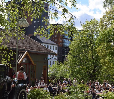 Ordfører  Lisbeth Hammer Krog