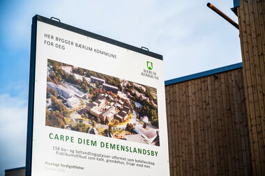 Fasadebilder Carpe Diem