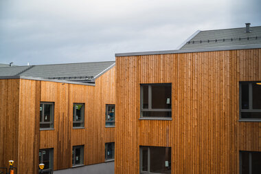 Fasadebilder Carpe Diem