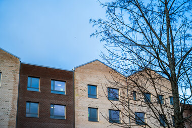 Fasadebilder Carpe Diem