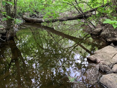 Lomma ved Bærums verk