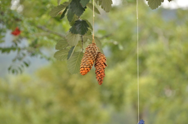 Grønt flagg, Helset barnehage